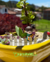 Terrario "Canción de verano" - Cronopios