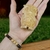 Imagen de Pack Palo Santo | Bienestar, Protección y Armonía