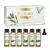 Kit Aromas Florais – 6 Óleos Essenciais para Velas e Difusores (Rosa, Lavanda, Ylang Ylang, Jasmim, Gerânio, Camomila) - loja online