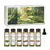 Kit Aromas Florais – 6 Óleos Essenciais para Velas e Difusores (Rosa, Lavanda, Ylang Ylang, Jasmim, Gerânio, Camomila) na internet
