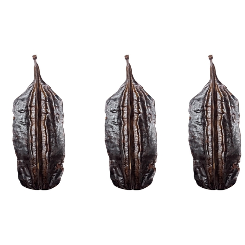 10 Favas de Aridan Africano