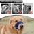 Máscara de focinho canino ventilada - Vellory Store