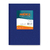 CUADERNO AMERICA N°1 TAPA DURA ARAÑA X42H CUADRICULADO - comprar online