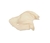 Oreja Comestible - comprar online