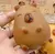 Squishy capybara con pelotitas