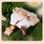 BRILLO LABIAL MANSLY GLASEADO MATE - comprar online