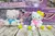 SQUISHY KITTY CON PELOTITAS DE COLORES - comprar online