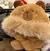 Gorro con bufanda capybara en internet