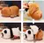 Peluche capybara duo convertible 40cm - tienda online
