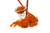 Tempero dry rub 100g na internet