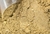 Golden Milk 100g - Shot da imunidade