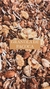 Granola de paçoca premium 1kg na internet