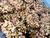Biscoito Magnífico 100g