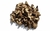 Imagem do Funghi seco 100g