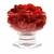 Cereja desidratada 100g - comprar online