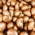 Dragee de castanha de caju ao leite 0 açúcar 100g na internet