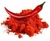 Páprica picante 100g na internet