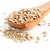 Semente de girassol 100g - comprar online