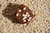 Gotas de chocolate branco comum 100g na internet