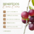 Camu-Camu 100g - comprar online