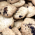 Cookies de aveia com maracujá 100g (Sem lactose) - comprar online
