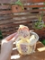 Provolone desidratado 150g - loja online