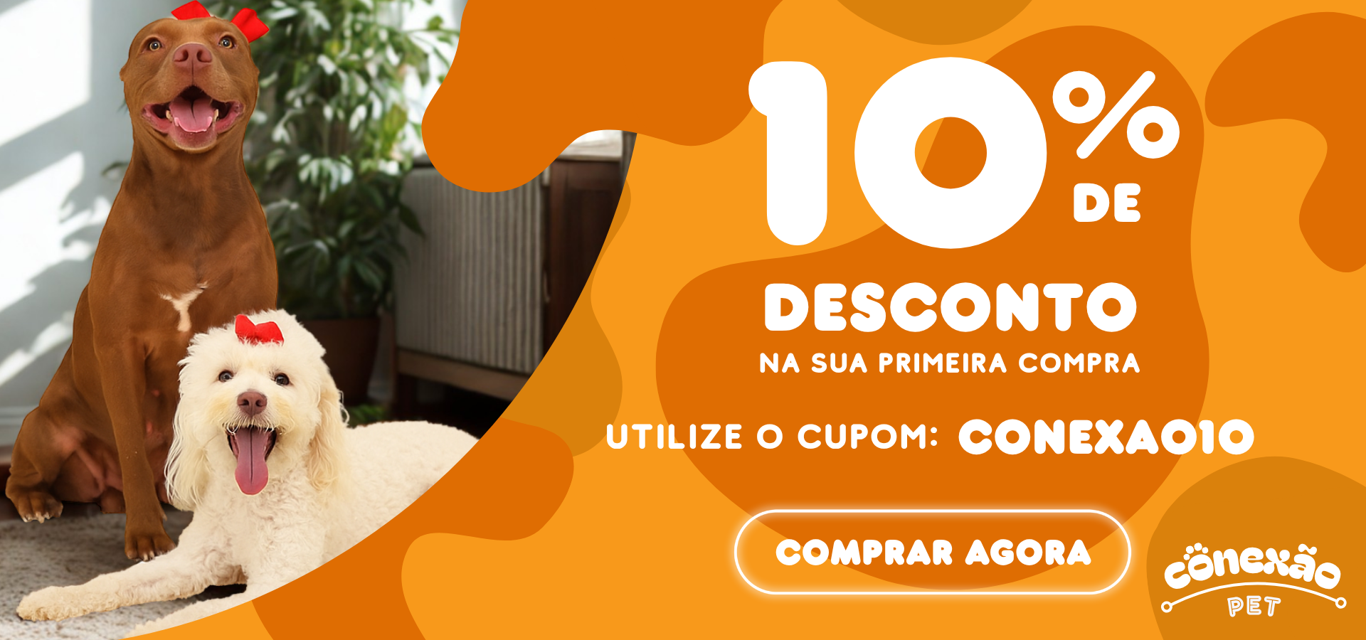 Carrossel 1