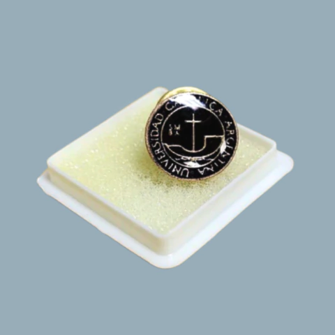 Pin