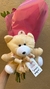 Buquê de 6 rosas com Urso de Pelúcia na internet