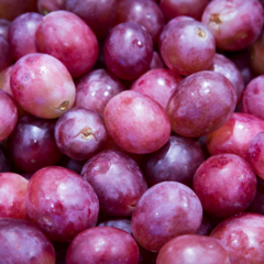 Banner de la categoría Uvas 