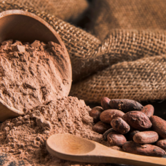 Banner de la categoría Cacao