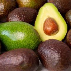 Banner de la categoría Palta 