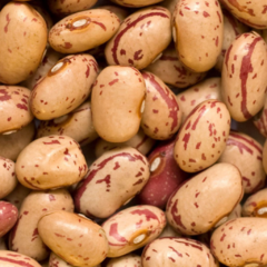 Banner de la categoría Porotos pinto 