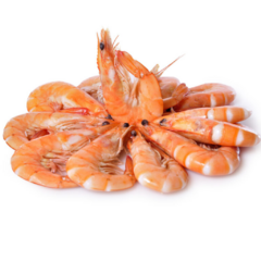Banner de la categoría Langostino 