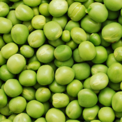 Banner de la categoría Arvejas 