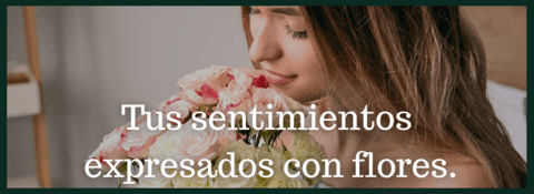 Banner of Flor de Loto Boutique Floral