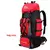 Mochila impermeable de 90L para hombre y mujer, bolsa de gran capacidad para senderismo.