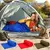 Saco de dormir de lana, sábanas de viaje Polares ultraligeras portátiles para adultos, tienda de campaña al aire libre, cama, saco de dormir cálido, forro cálido. na internet