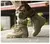 Botas de combate para el desierto para hombre, zapatos de senderismo de cuero para actividades al aire libre, botas para trabajo de caza, botines. - CORDILLERA online store
