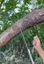 Equipo de supervivencia al aire libre, juego de herramientas de montañismo, supervivencia al aire libre, multifuncional.
