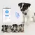 Magnified mini GPS tracker, anti-theft, local and real-time, people, pets, wallets, keychains, suitcases, cars, vehicle/person positioning tracker. - buy online