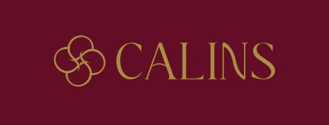 Calins Shoes