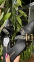 MULE FIVELA CONSTANCE - comprar online