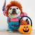 Disfraz halloween mascotas - chucky en internet