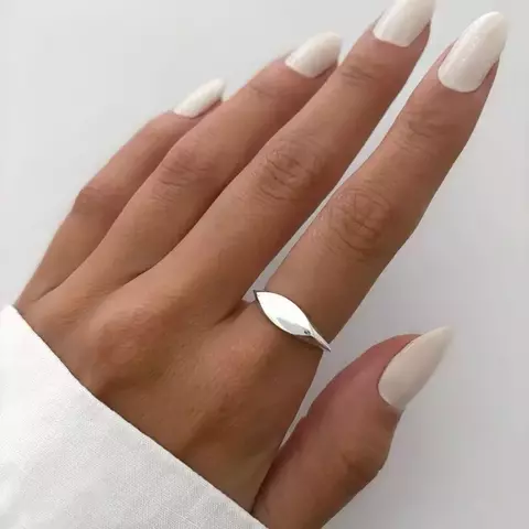 Anel liso