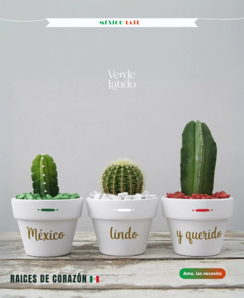 Banner de Verde Latido