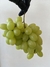 Uvas sin semillas Brasileñas