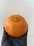 Mandarina Criolla
