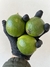 Limas Brasil