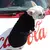 Imagem do Moletom Pet Estiloso – Conforto e Proteção para o seu doguinho!